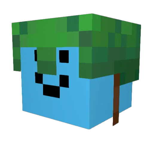 TrueNorth777 Minecraft avatar head, 3D render