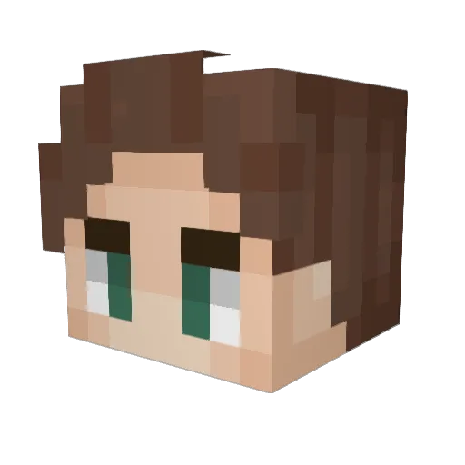 TrueRecon45 Minecraft avatar head, 3D render