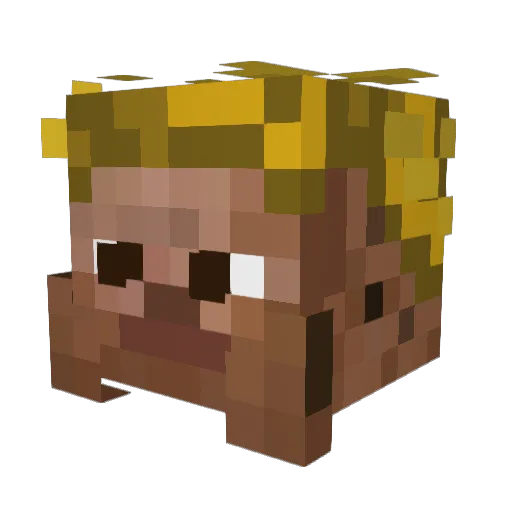 TrueRefle Minecraft avatar head, 3D render