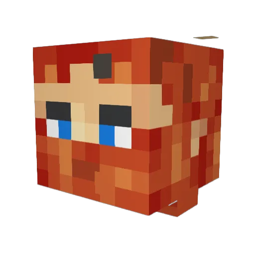 TrueTfunky Minecraft avatar head, 3D render