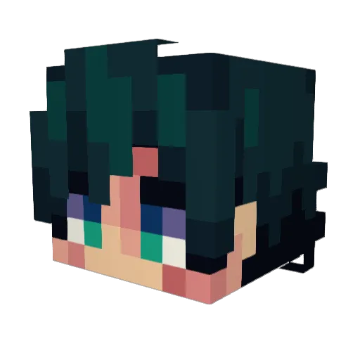 True_Iris Minecraft avatar head, 3D render
