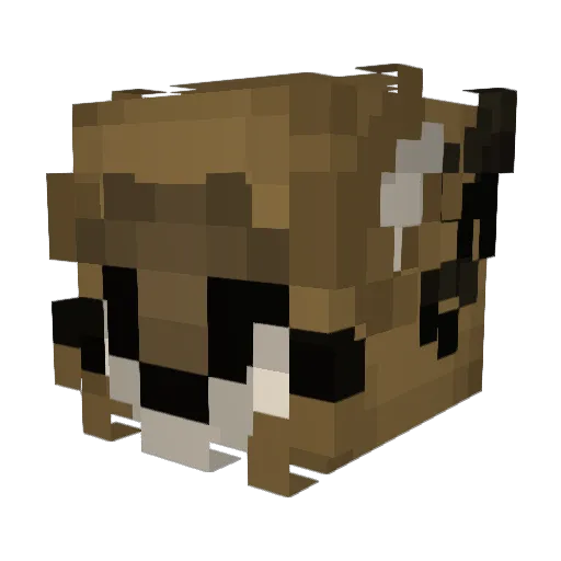 Truearsonist5 Minecraft avatar head, 3D render