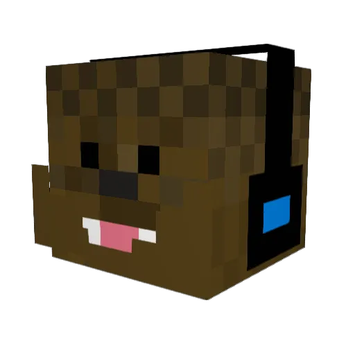 Truebacca77 Minecraft avatar head, 3D render