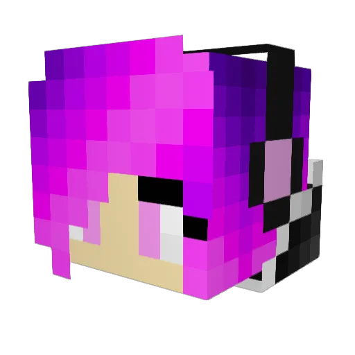 Truebacca82 Minecraft avatar head, 3D render