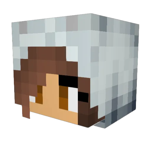 Trueita Minecraft avatar head, 3D render