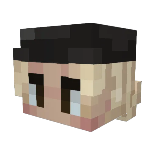 Trues_Roal Minecraft avatar head, 3D render