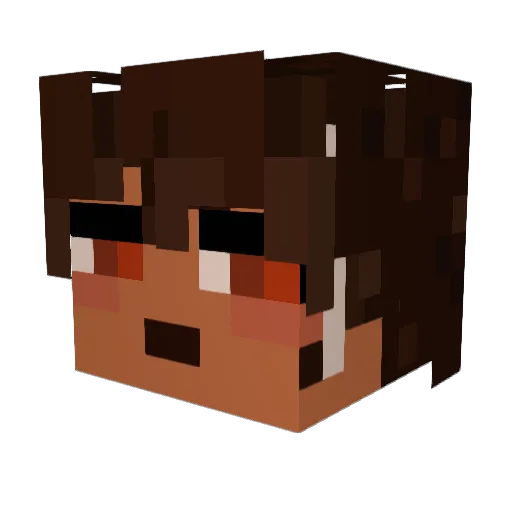 TruffleTurtles Minecraft avatar head, 3D render