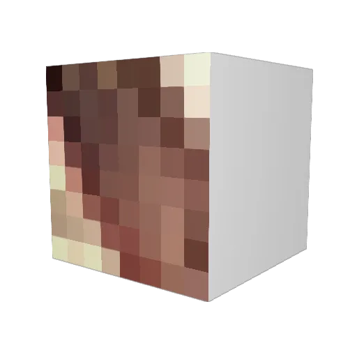 Truilox1 Minecraft avatar head, 3D render
