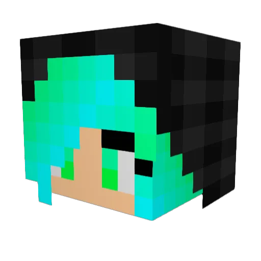 Truley Minecraft avatar head, 3D render