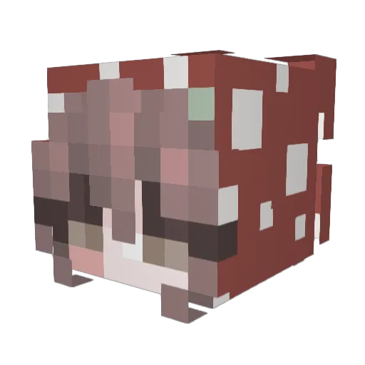 Trullababe Minecraft avatar head, 3D render