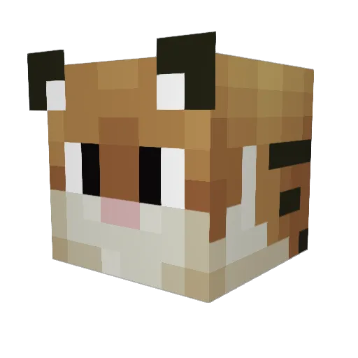 Truls84 Minecraft avatar head, 3D render