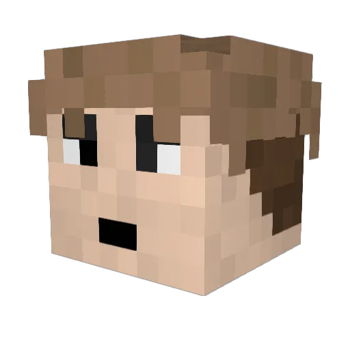 TrulsNE Minecraft avatar head, 3D render