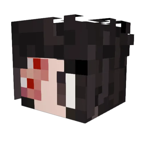 Truly4msorry Minecraft avatar head, 3D render
