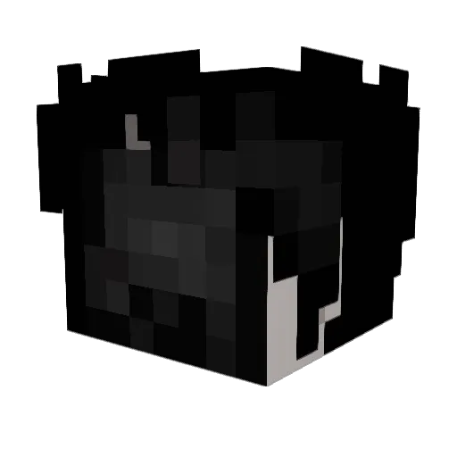 TrulyArctic Minecraft avatar head, 3D render