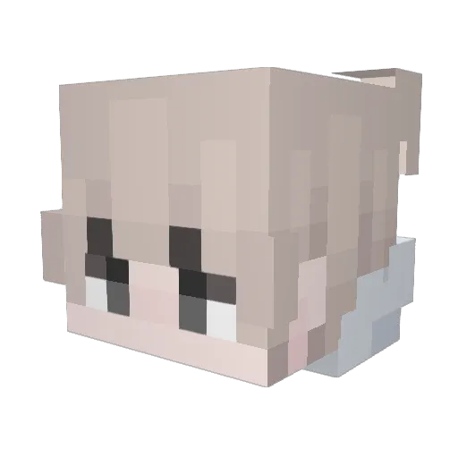 TrulySaddening Minecraft avatar head, 3D render