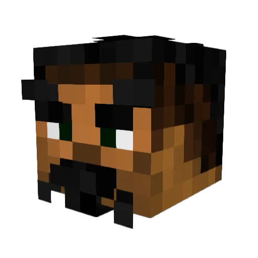 Trunk000 Minecraft avatar head, 3D render