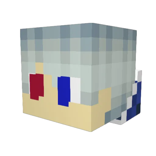 Trunki345 Minecraft avatar head, 3D render