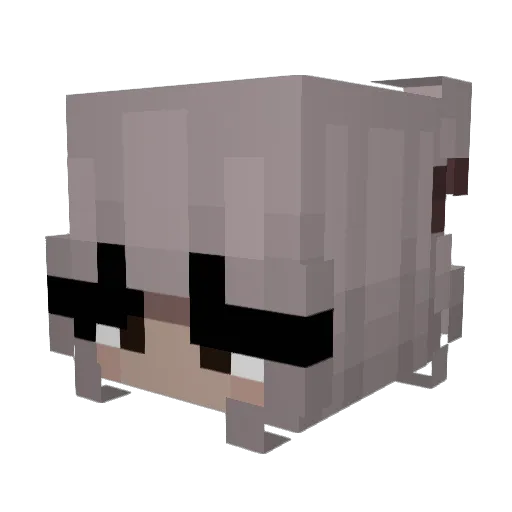 Trunte Minecraft avatar head, 3D render