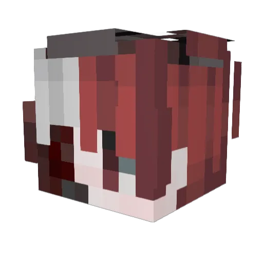 Trup0_0 Minecraft avatar head, 3D render