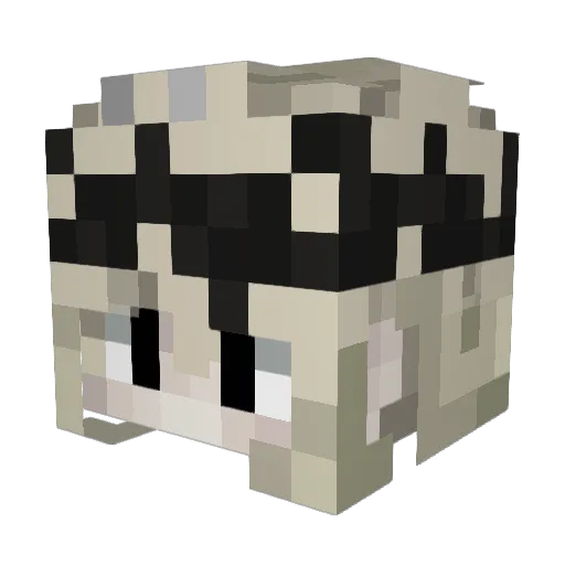 Truposz00 Minecraft avatar head, 3D render