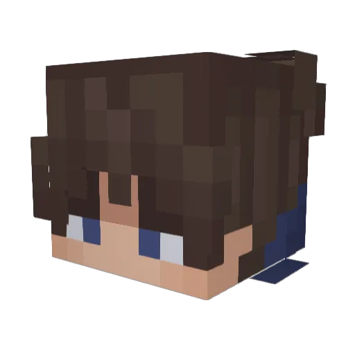 Trusiss Minecraft avatar head, 3D render