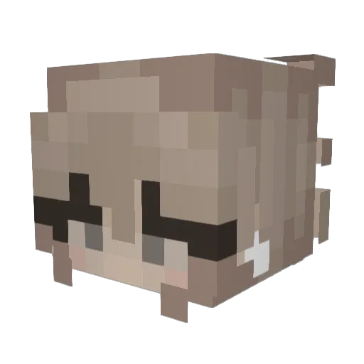 Truskawel Minecraft avatar head, 3D render
