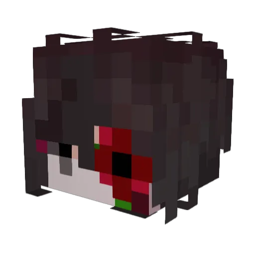 Trust0u0 Minecraft avatar head, 3D render