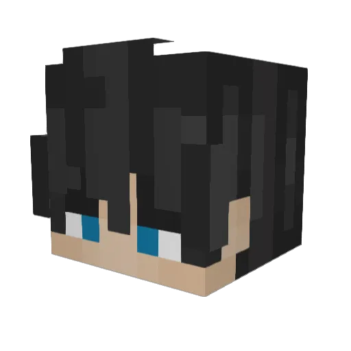 TrustFallen Minecraft avatar head, 3D render