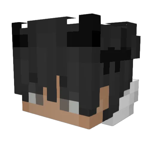 TrustWolfie Minecraft avatar head, 3D render