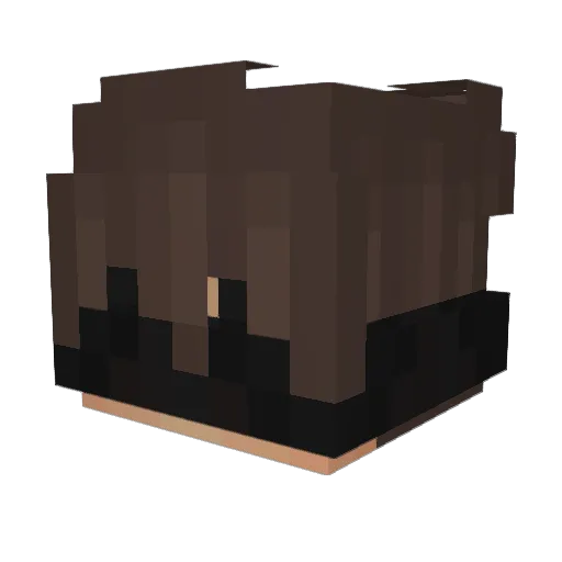 Trustful_ Minecraft avatar head, 3D render