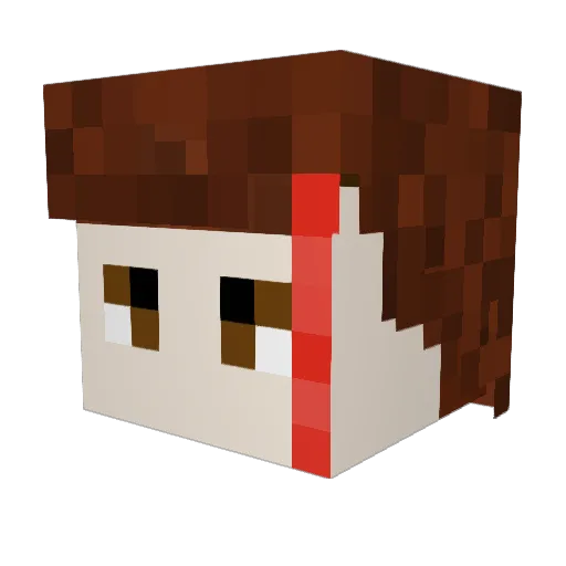 Trustthatsit11 Minecraft avatar head, 3D render