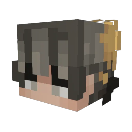 TrustyBees Minecraft avatar head, 3D render
