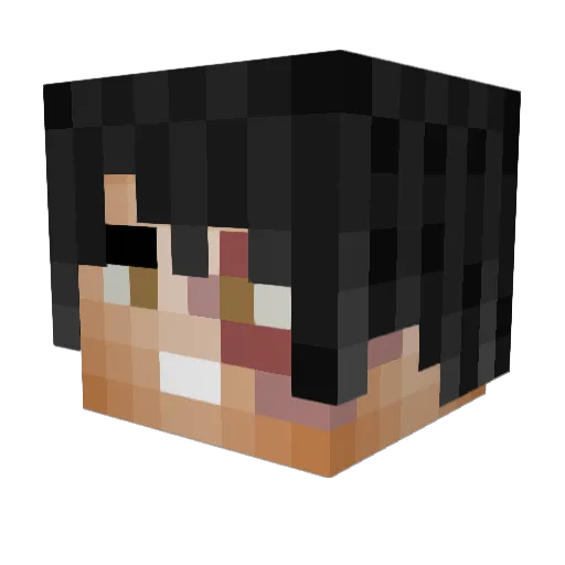 TrustyCurve Minecraft avatar head, 3D render