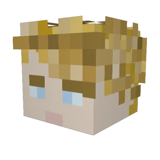TrustyasHeck Minecraft avatar head, 3D render