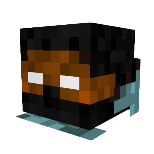 TruthMilitia Minecraft avatar head, 3D render