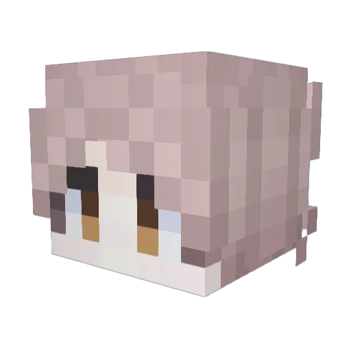 Truth_yes Minecraft avatar head, 3D render