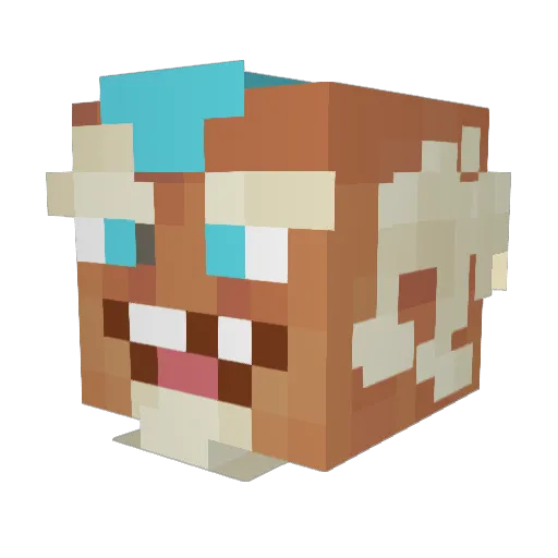 TruthhTeller Minecraft avatar head, 3D render