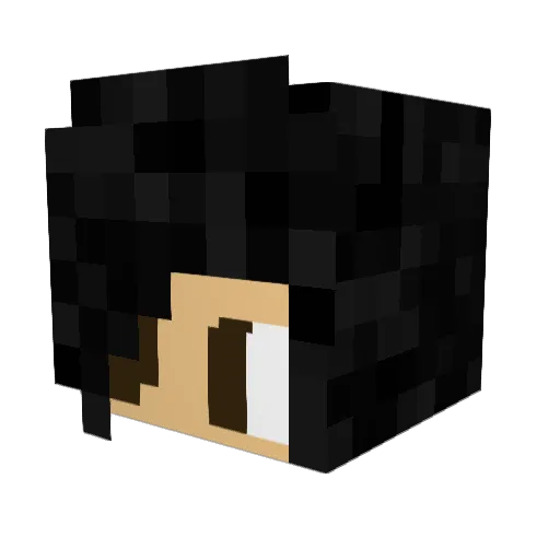 Truthshouter Minecraft avatar head, 3D render