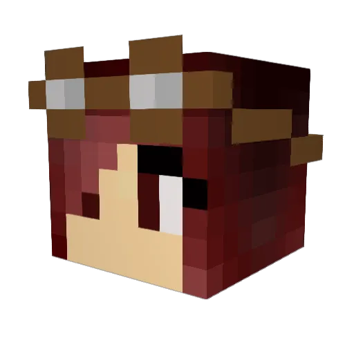 Truthwrite Minecraft avatar head, 3D render