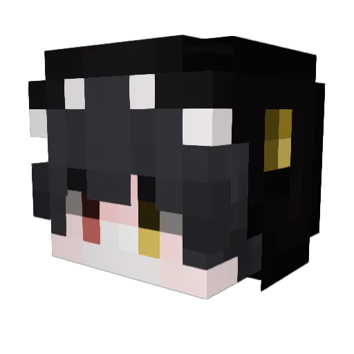 Truv86 Minecraft avatar head, 3D render