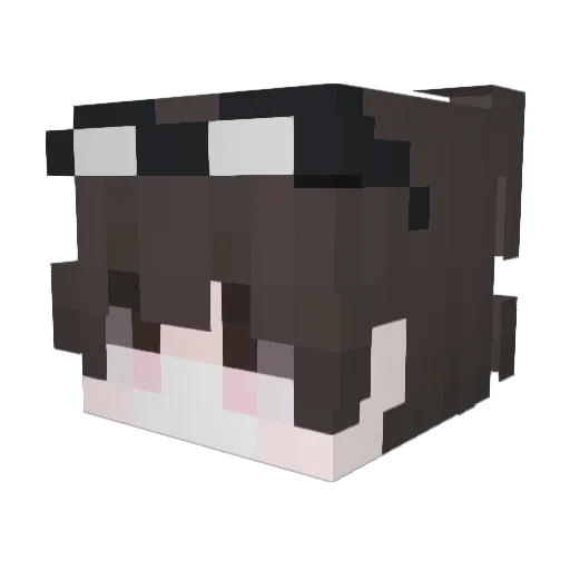 Trvinn Minecraft avatar head, 3D render