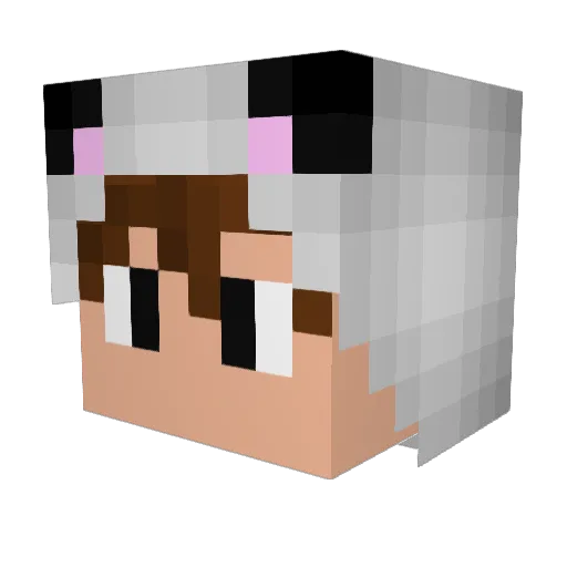 Trxppy__ Minecraft avatar head, 3D render