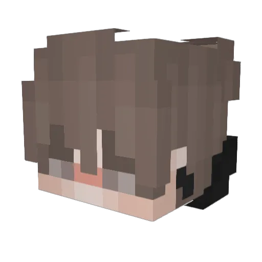 Trxshi_ Minecraft avatar head, 3D render