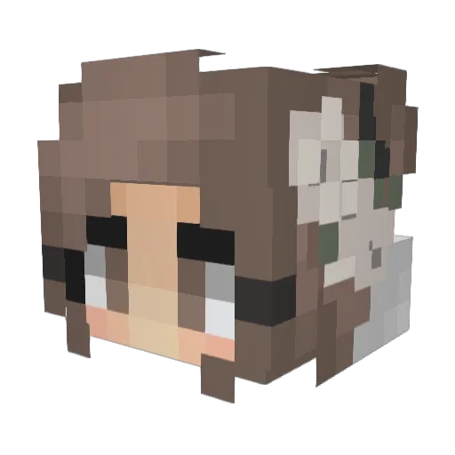 Trxv Minecraft avatar head, 3D render