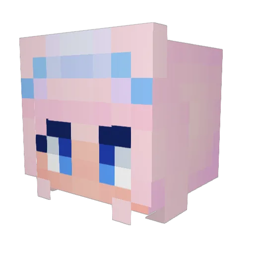 Trxyz_Edits Minecraft avatar head, 3D render
