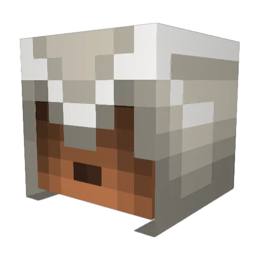 Try1100 Minecraft avatar head, 3D render