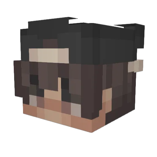 TryAgainSon_ Minecraft avatar head, 3D render