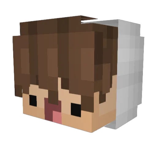 TryAgainz_ Minecraft avatar head, 3D render