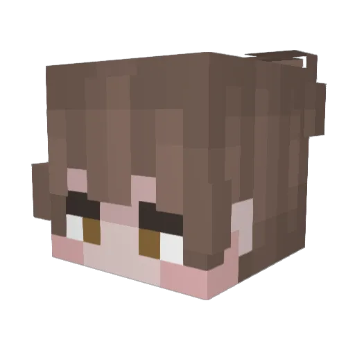 TryEdu7w7 Minecraft avatar head, 3D render