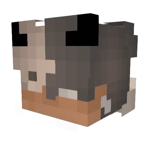 TryHard_Ninja Minecraft avatar head, 3D render